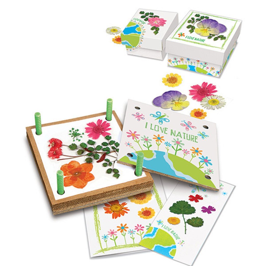 Art & Craft 4M Creative Kits | 4M - Pressed Flower Art